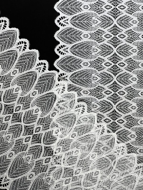 Elastic Stretch Jacquard Lace Trimming - Image 4